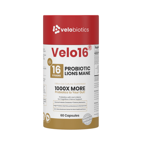 Velo16 Probiotika Leeu se Mane
