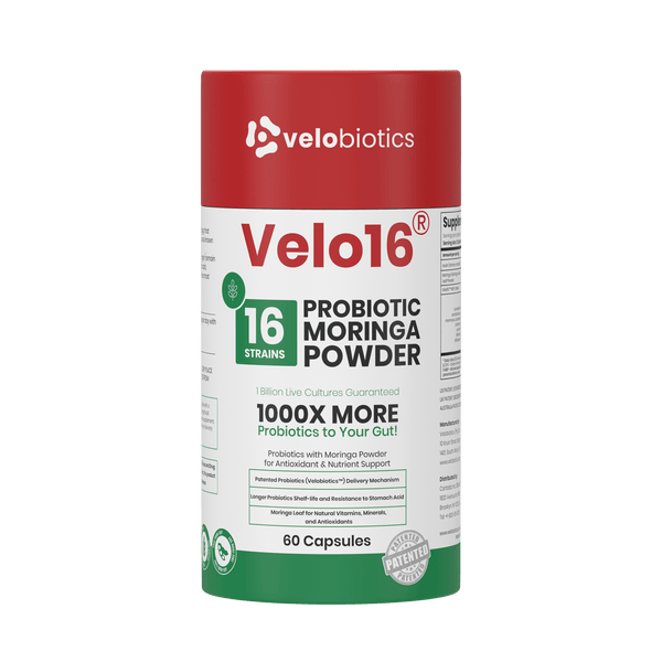 Velo16 Probiotika Moringa