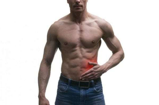 Understanding the Bacteria in Your Body - Velobiotics 