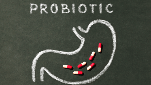 What are probiotics and what are the health benefits? - Velobiotics 