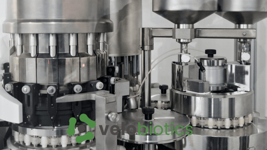 Unlocking Wellness: The Power of Velobiotics for a Healthier You - Velobiotics 