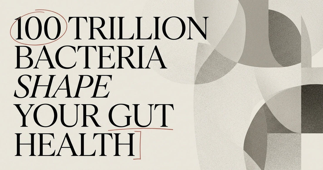 Probiotics and Gut Health: The Science Explained - Velobiotics