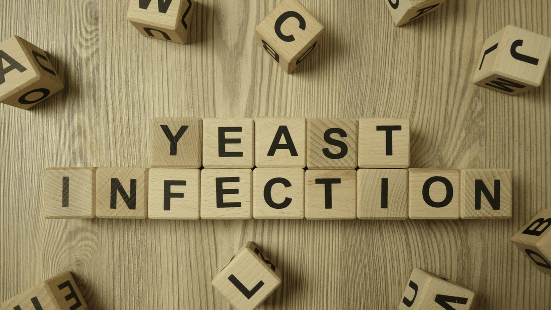 Yeast Infections And You: The Basic Facts - Velobiotics 