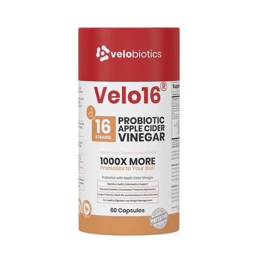 Velo16 Probiotics Apple Cider - Velobiotics