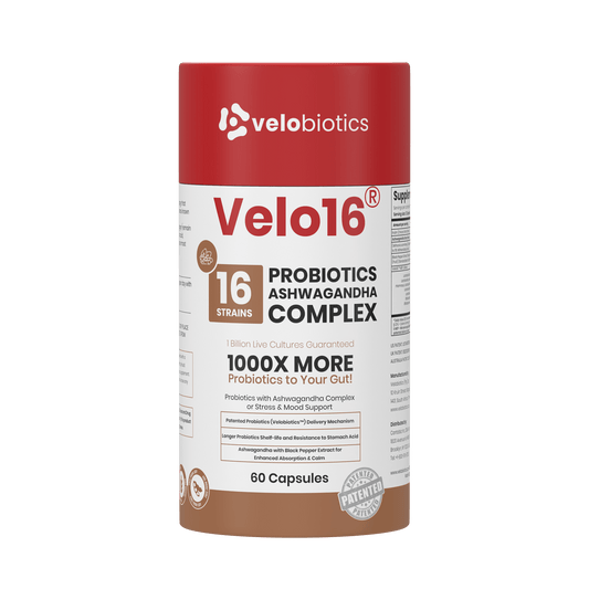 Velo16 Probiotics + Ashwagadha Complex - Velobiotics