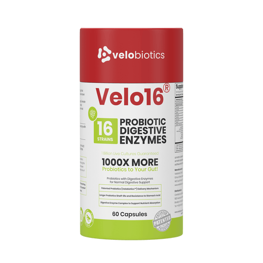 Velo16 Probiotic + Digestive Enzymes Complex - Velobiotics