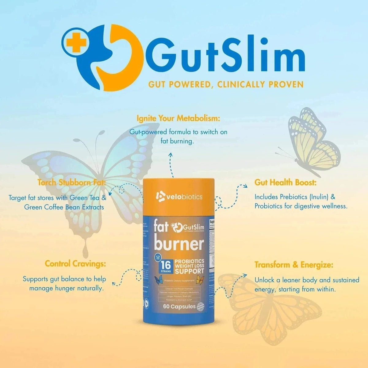 GutSlim Probiotika Vetverbrander — image 5