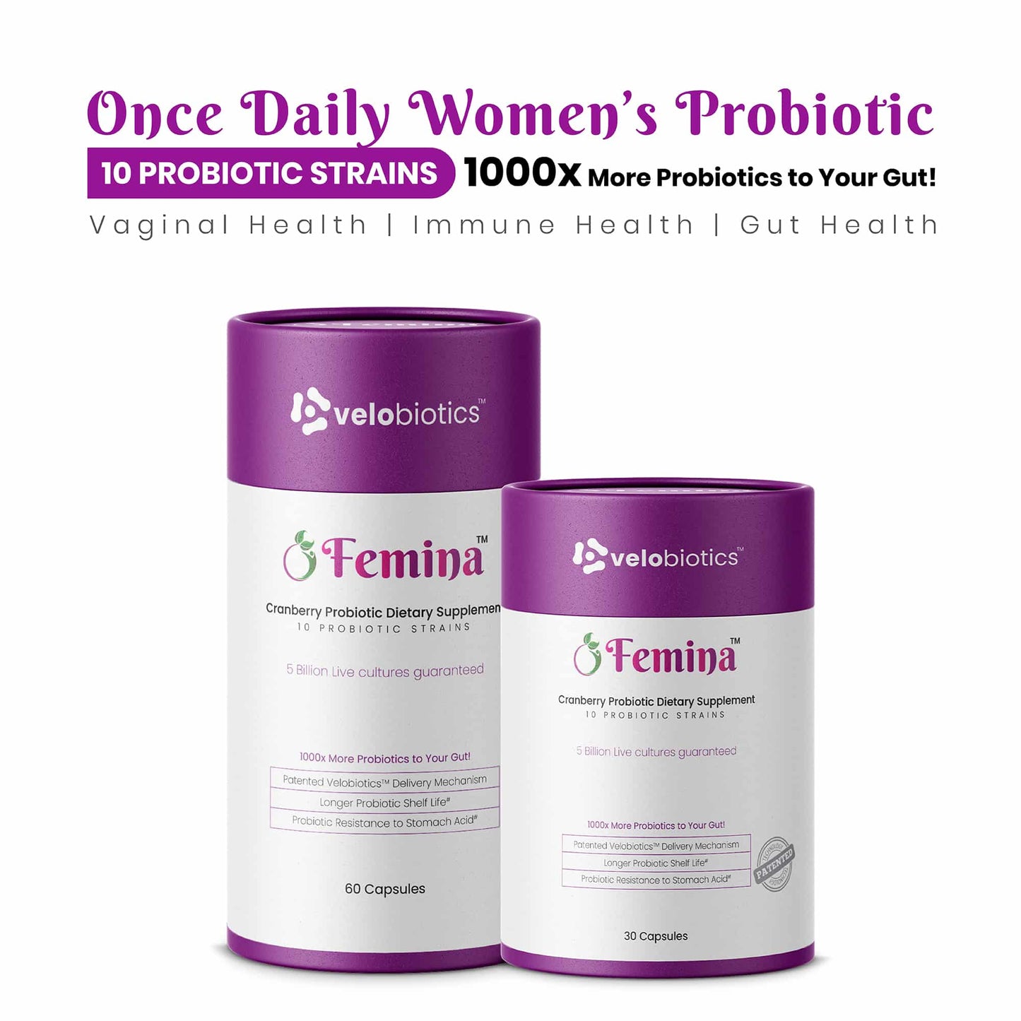 GutBundle Couple Pack - Him and Her Probiotic Value Pack - Velobiotics