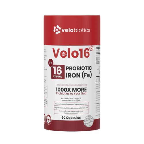 Velo16 Probiotika + Yster