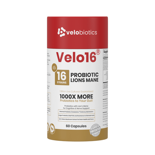 Velo16 Probiotics Lion's Mane - Velobiotics