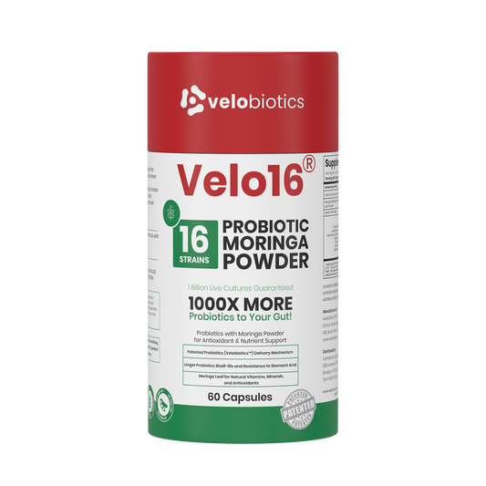 Velo16 Probiotics Moringa Powder supplement with 16 strains, 1 billion CFUs, antioxidants, and nutrient support in 60 capsules.