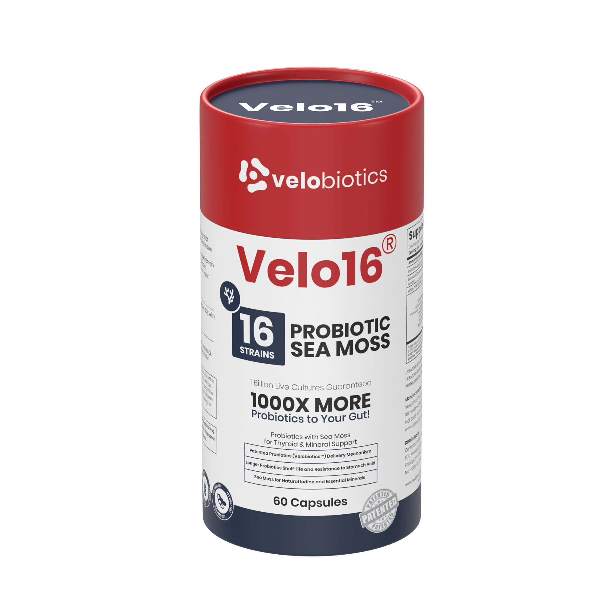Velo16 Probiotics Sea Moss supplement bottle with 16 probiotic strains and sea moss for gut, thyroid, and mineral support