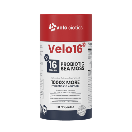Velo16 Probiotika See Mosse