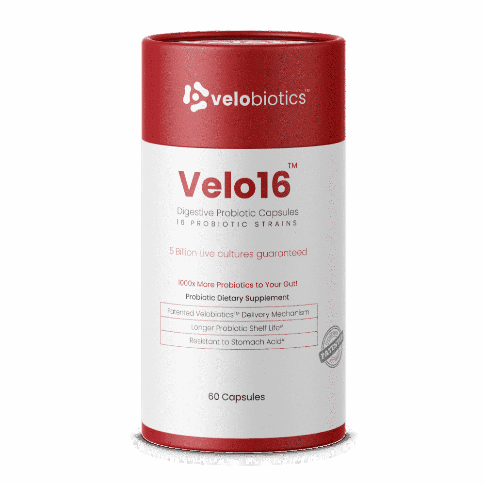 GutBundle Couple Pack - Him and Her Probiotic Value Pack - Velobiotics