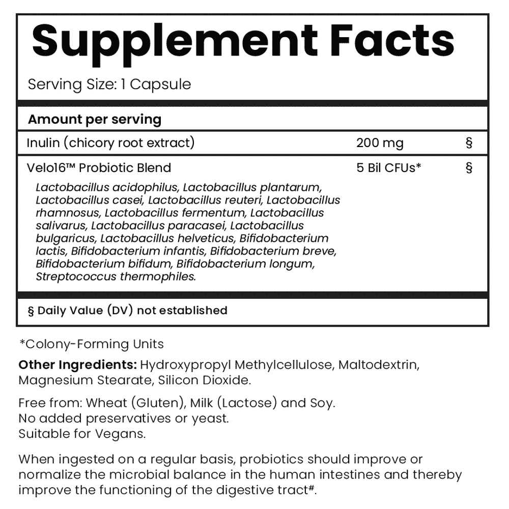 GutBundle Couple Pack - Him and Her Probiotic Value Pack - Velobiotics